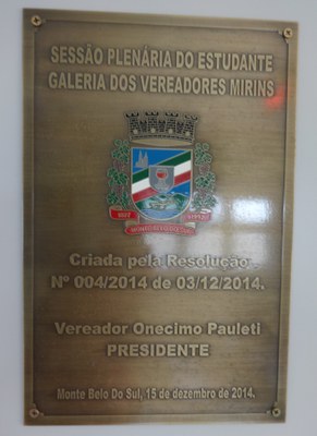 galeria vereadores mirins.jpg