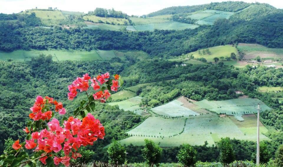  Início da primavera 