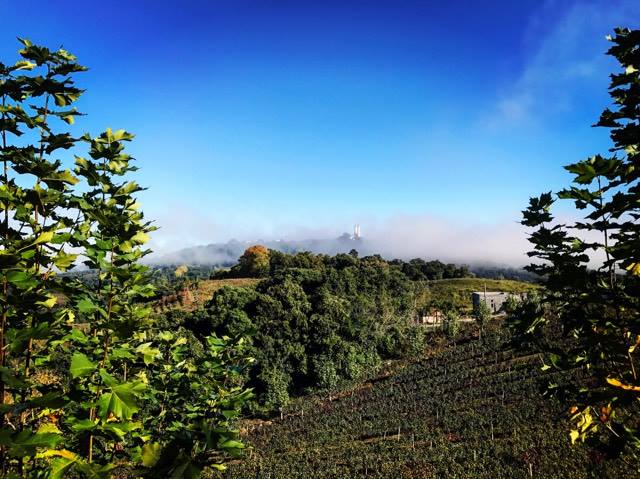 Amanhecer gelado e com cerração em Monte Belo do Sul