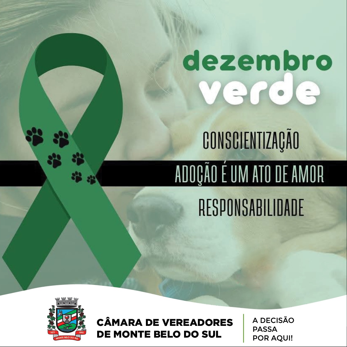 Dezembro Verde: Mês de Conscientização Contra o Abandono e Maus-Tratos de Animais 