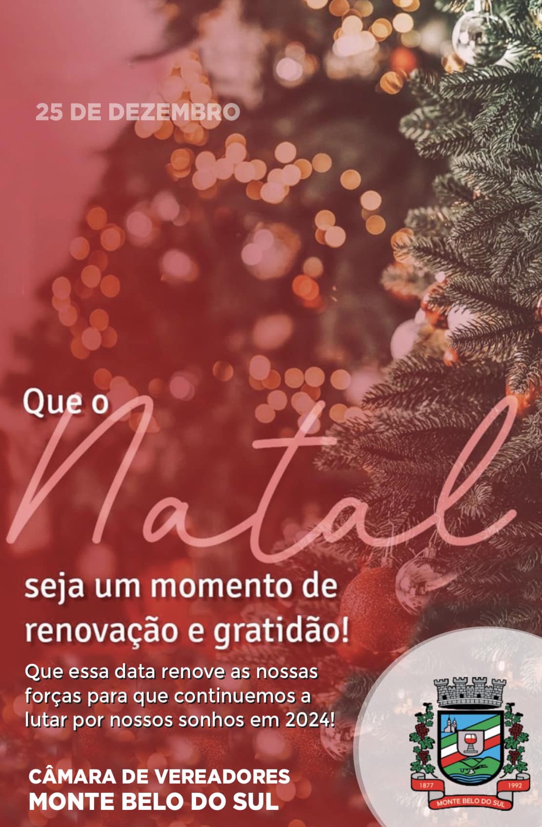 Feliz Natal 