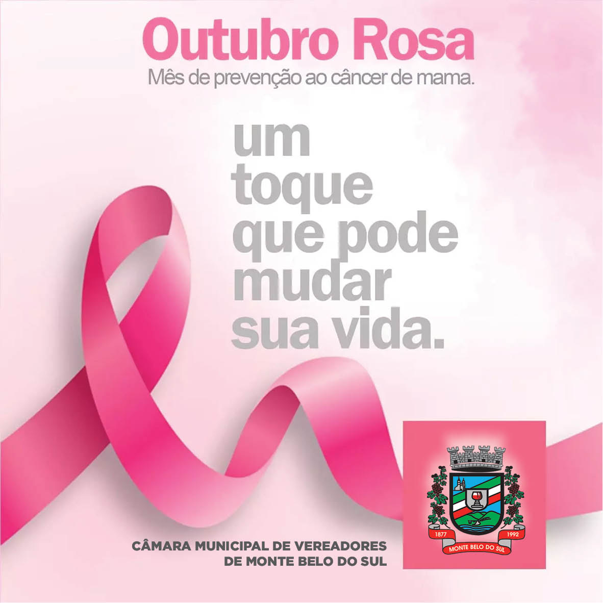 Legislativo apoia campanha Outubro Rosa, de prevenção ao câncer de mama