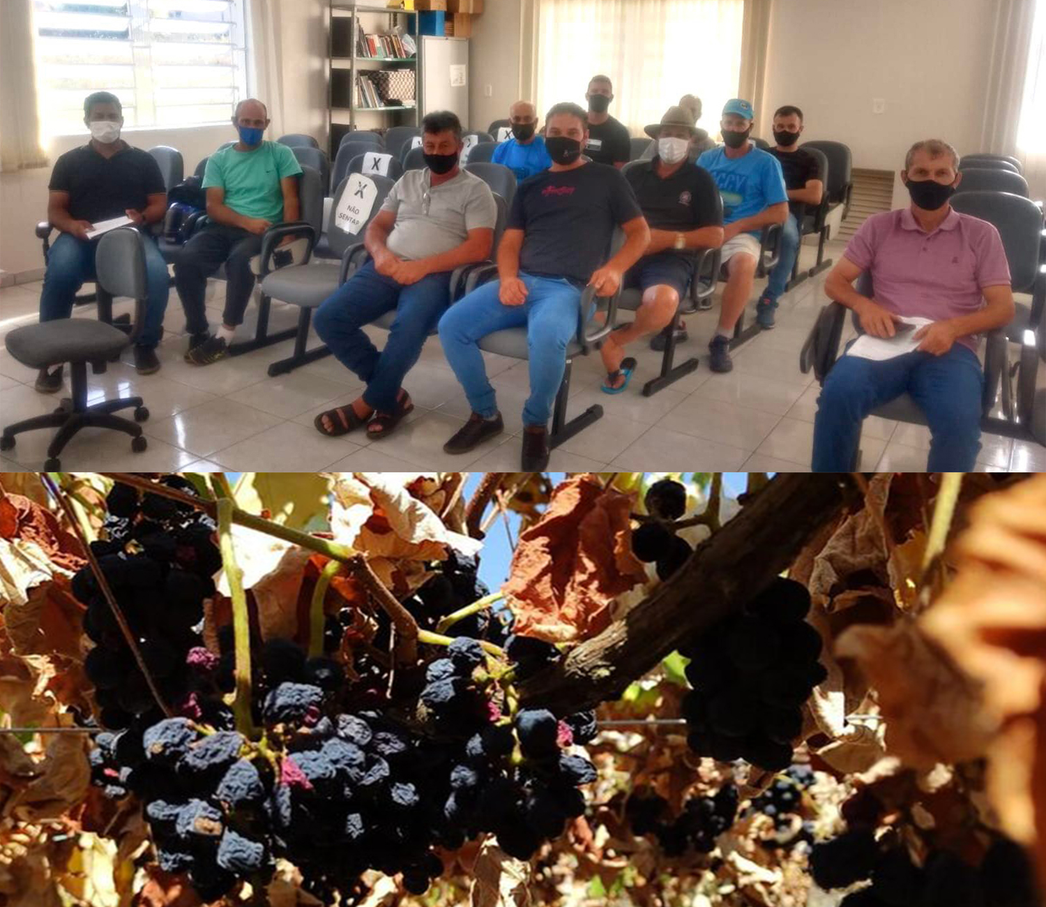 Presidente da Câmara de Vereadores de Monte Belo do Sul, vereadores e lideranças debatem sobre a estiagem