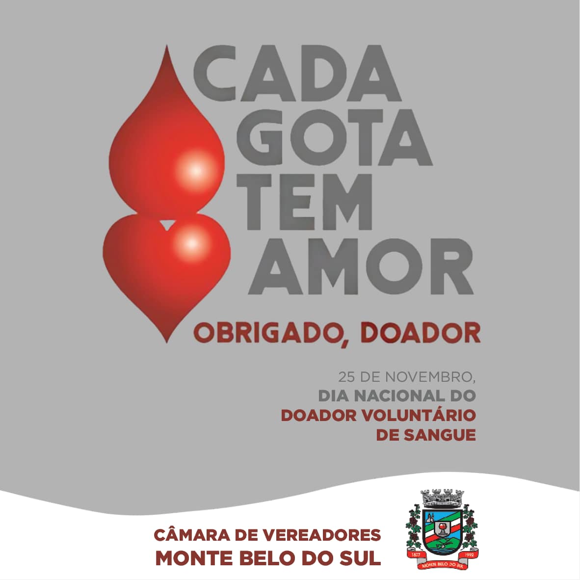 Seja um Doador de Sangue!