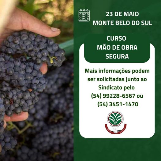 Sindicato dos Trabalhadores Rurais de Bento Gonçalves realiza consultoria sobre contratação de mão de obra no meio rural