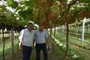 Vereador participa do lançamento de  novidades para a vitivinicultura na Serra Gaúcha