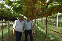 Vereador participa do lançamento de  novidades para a vitivinicultura na Serra Gaúcha